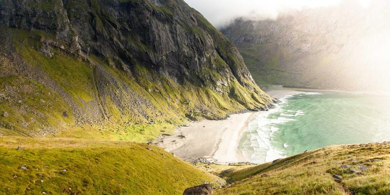 Cat Cafe77：工业设计与宠物友好的完美融合，重新定义都市猫咪社交空间