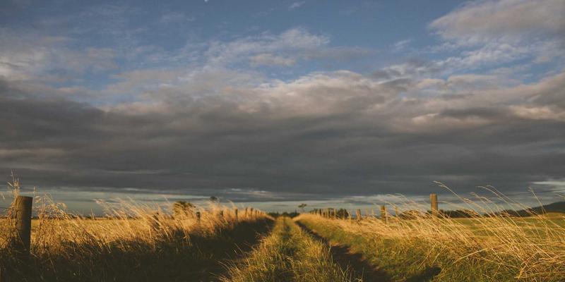 Cat Cafe95:工业风设计、宠物友好与拿铁艺术的完美融合