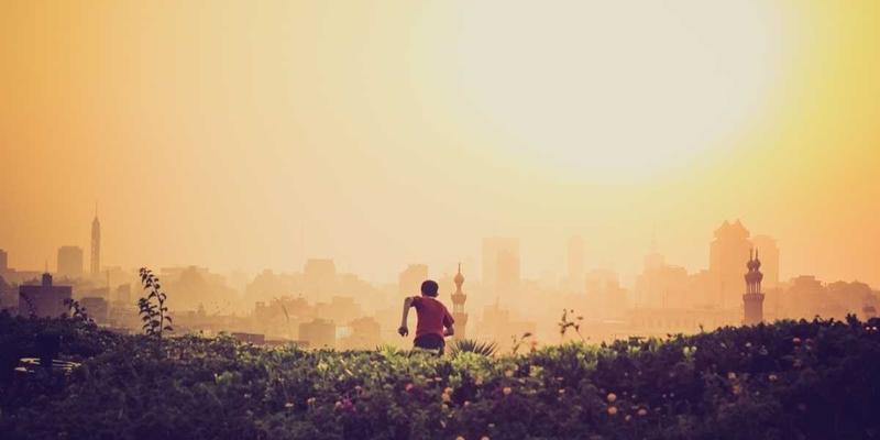 从Industrial Design到Espresso：解码猫咪咖啡馆的商业模式与宠物友好型空间盈利之道