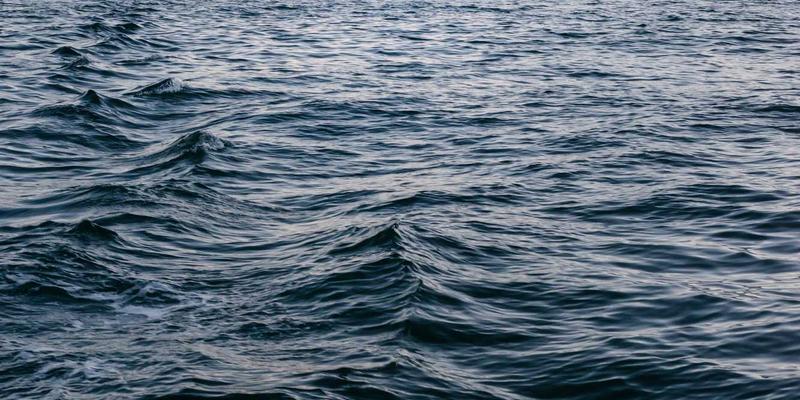 从Industrial Design到Feline Well-being：一杯Espresso背后的猫咖猫咪福祉设计