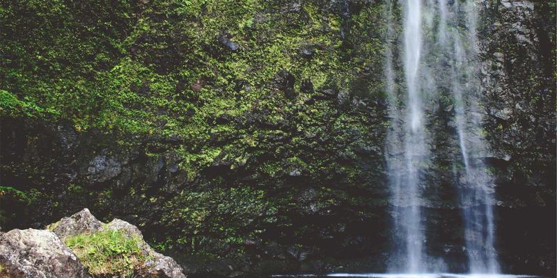 从espresso到领养指南：打造专业猫咪咖啡馆员工培训体系