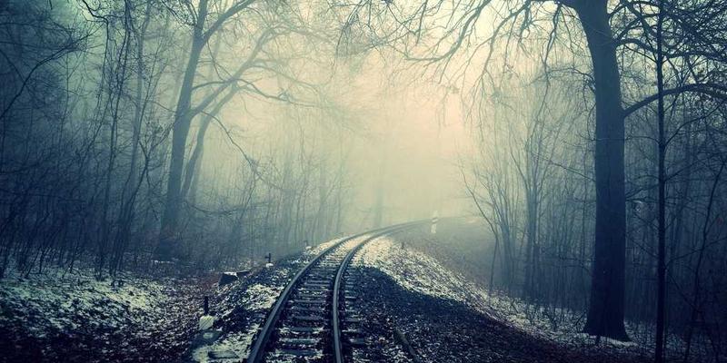 从一杯Espresso到终身伙伴：猫咪咖啡馆如何管理猫咪压力并促进领养