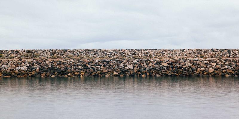 从一杯Espresso到绿色主题猫咖摄影：打造网红打卡点与宠物肖像商业变现指南