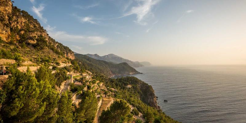 从一杯Latte到一只Feline：猫咪咖啡馆如何通过感官设计营造治愈氛围并促进Adopt a Cat