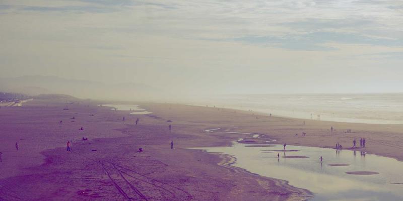 从一杯latte到幸福喵生：宠物友好型猫咖啡馆的行为丰容设计指南