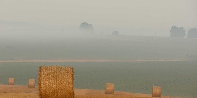 从猫咪经济到绿色治愈：猫咖如何以自然主题引领新消费趋势