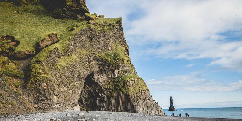 从猫咪视角出发：打造猫友好型咖啡馆的家具与设施终极选购指南