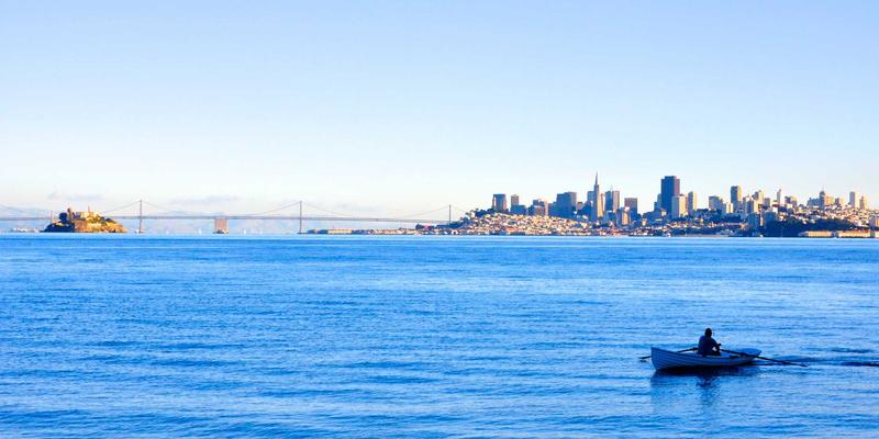 工业美学与绿色意式体验:猫咖设计的未来趋势