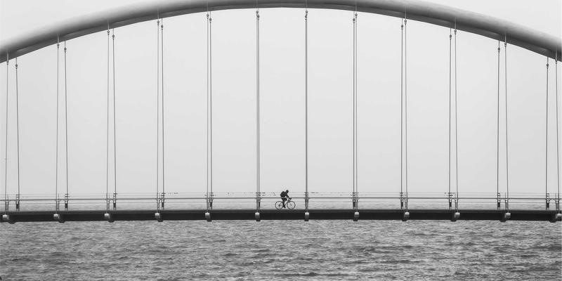 工业设计、拿铁与领养：猫咪咖啡馆如何重塑城市第三空间