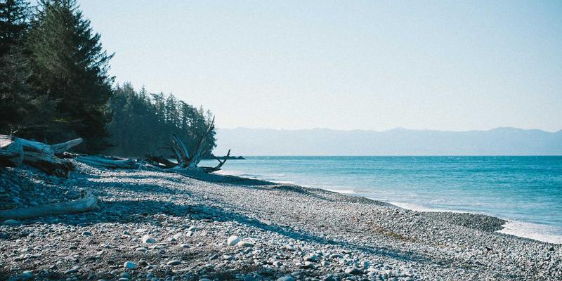 工业设计遇见喵星人：探索猫咪咖啡馆夜间经济的espresso与体验革新