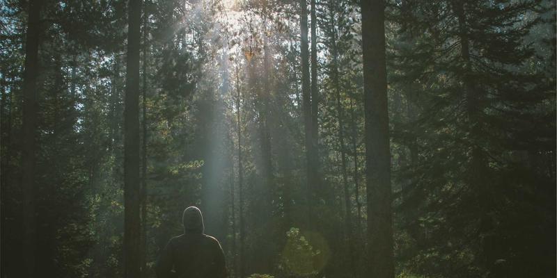 工业风猫咖的跨界共生：与艺术家、书店及手工艺品牌的创新联动模式