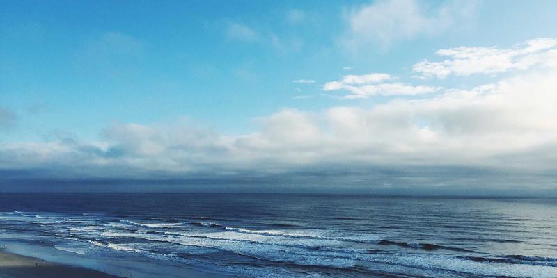 工业风遇见毛茸茸：猫咖14如何以设计革新宠物友好空间