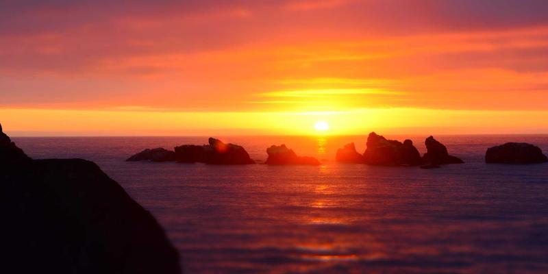 工业风遇见猫咖:一杯拿铁里的空间叙事学