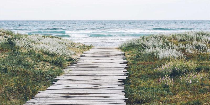当工业风遇见毛茸茸:猫咖空间设计的治愈革命