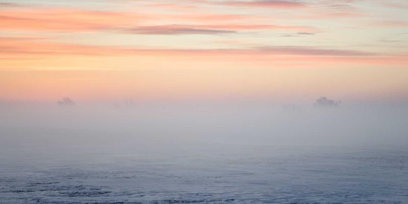 当猫咪咖啡馆遇见绿色风潮：打造宠物友好的城市绿洲