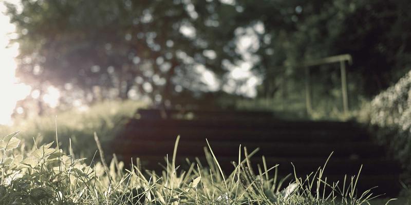 打造可持续猫咖：从环保材料到领养计划，一杯有温度的咖啡