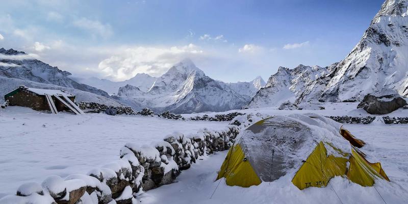 打造宠物友好天堂：猫咪咖啡馆如何用季节性菜单与活动提升顾客复购率