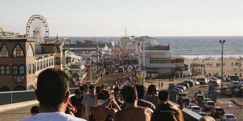 打造绿色工业风宠物友好空间：猫咪咖啡馆如何通过会员制与社群运营建立忠实顾客群体