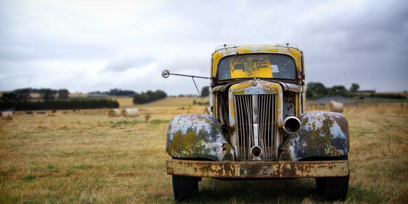 打造绿色猫咪咖啡馆：从环保材料到废物回收的可持续运营指南