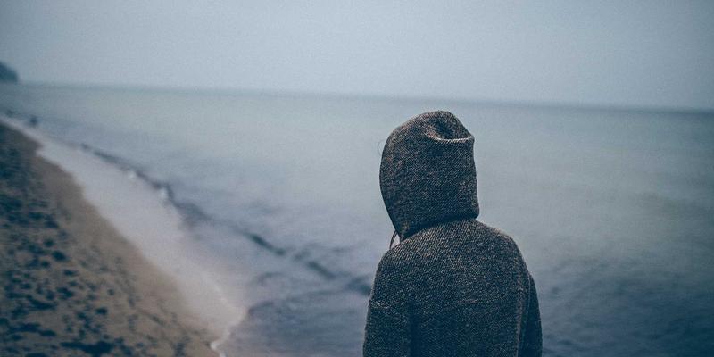 猫咖38号:当猫咪遇见绿意,在城市中心邂逅治愈系生态空间