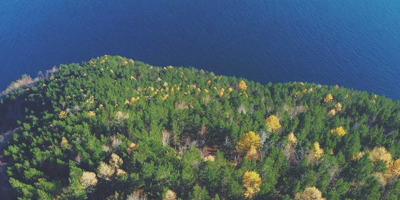 猫咖寻踪：不止是咖啡与萌宠，更是都市人的心灵疗愈所