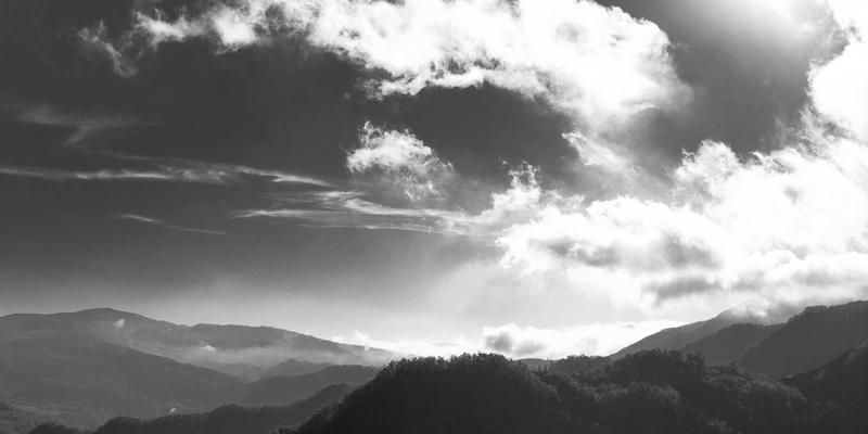 猫咪咖啡馆的“猫咪轮休制”：科学排班如何保障动物福利与顾客体验