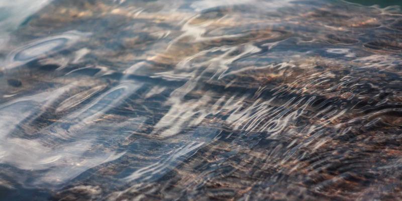 绿叶与拿铁的交响：揭秘绿色主题猫咖如何用一杯浓缩咖啡治愈都市心灵