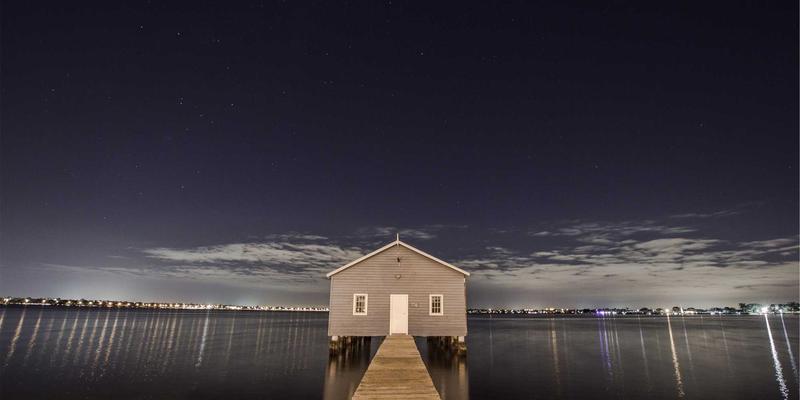 绿叶与肉垫的协奏曲:探索绿色主题猫咖与精品咖啡的治愈哲学