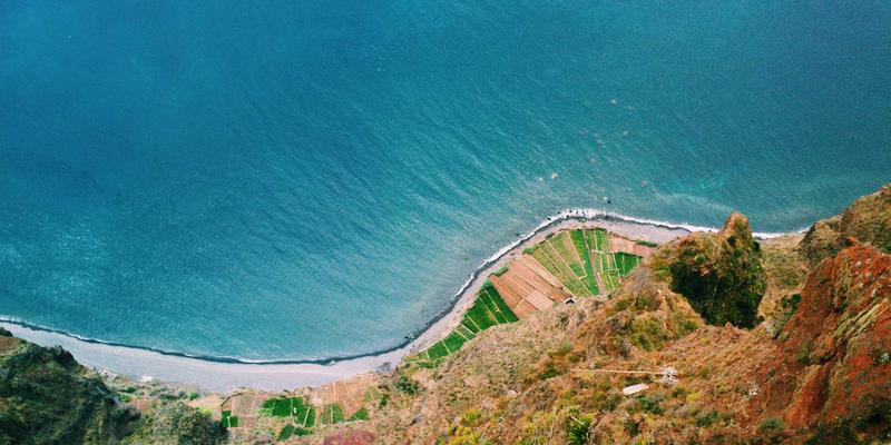 绿意与咖啡香的邂逅：探索主题猫咖的独特魅力
