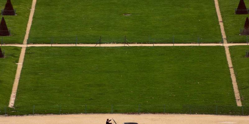 绿意萌宠:在绿色主题猫咖邂逅你的终身伴侣