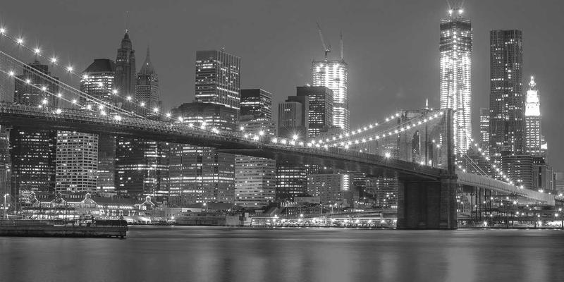 绿色主题猫咖全攻略：在咖啡香与喵星人陪伴中享受治愈时光