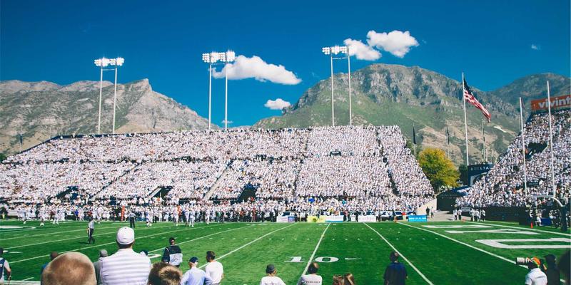 融合绿色主题与工业设计的猫咖：打造安全有趣的亲子互动空间